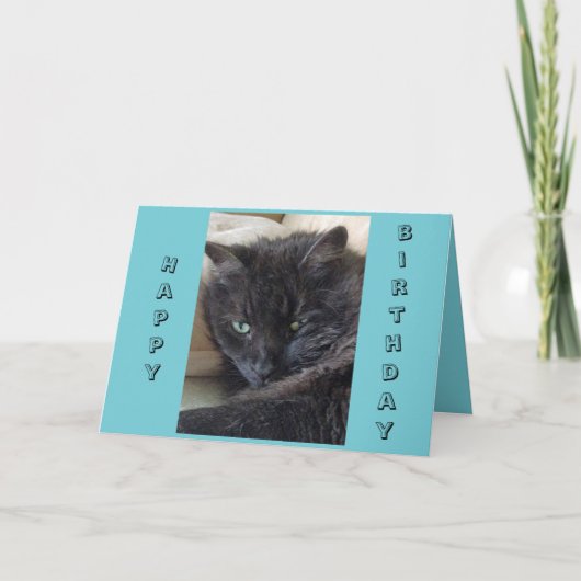 Black Cat Birthday Card Karte (Vorderseite)
