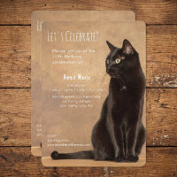 Black Cat Birthday Einladung