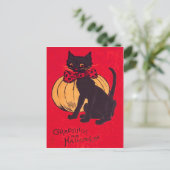 Black Cat Bowtie Pumpkin Vintag Postkarte (Stehend Vorderseite)