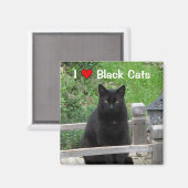 Black Cat Bridge I Liebe Black Cats Magnet (Vorderseite/Rückseite)