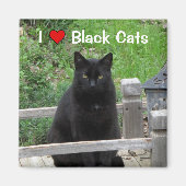 Black Cat Bridge I Liebe Black Cats Magnet (Vorne)