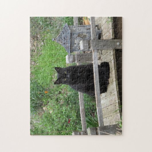 Black Cat Bridge Puzzle (Vertikal)