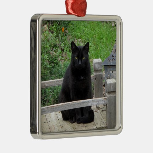 Black Cat Bridge Silbernes Ornament (Rechts)