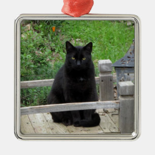 Black Cat Bridge Silbernes Ornament