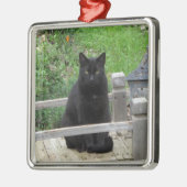 Black Cat Bridge Silbernes Ornament (Links)