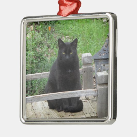 Black Cat Bridge Silbernes Ornament (Links)