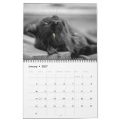 Black Cat Calendar Kalender (Jan 2027)