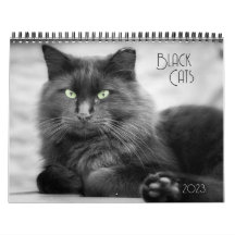 Black Cat Calendar