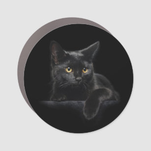 Black Cat Car Magnet