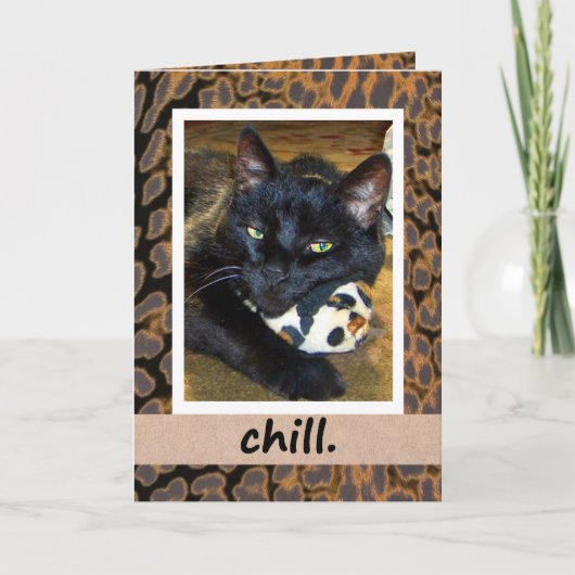 Black Cat Chillout Card Karte (Vorderseite)