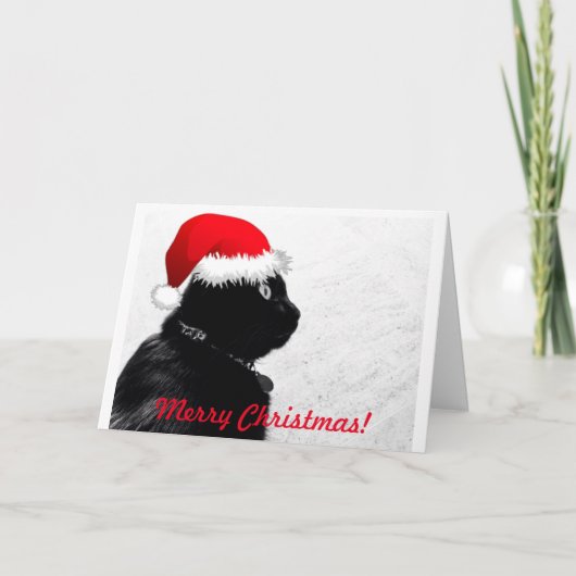 Black Cat Christmas Card Feiertagskarte (Vorderseite)