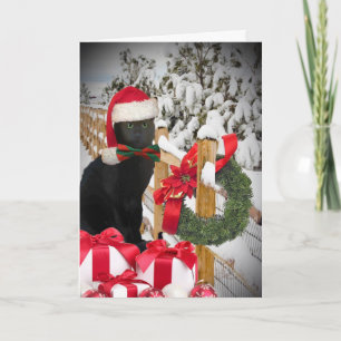 Black Cat Christmas Cards Feiertagskarte