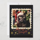 Black cat christmas  feiertagskarte (Vorderseite)