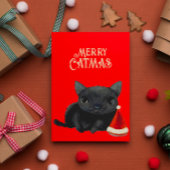 Black Cat Christmas Karte