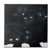 Black Cat Cuddle Fliese (Vorderseite)