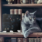 Black Cat Cuddle Fliese