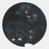Black Cat Cuddle Runder Aufkleber (Vorderseite)