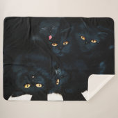 Black Cat Cuddle Sherpadecke (Vorderseite (Horizontal))