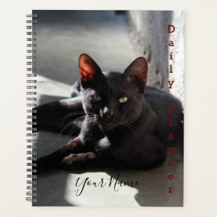 Black Cat - Daily Planner - HAMbWG Planer