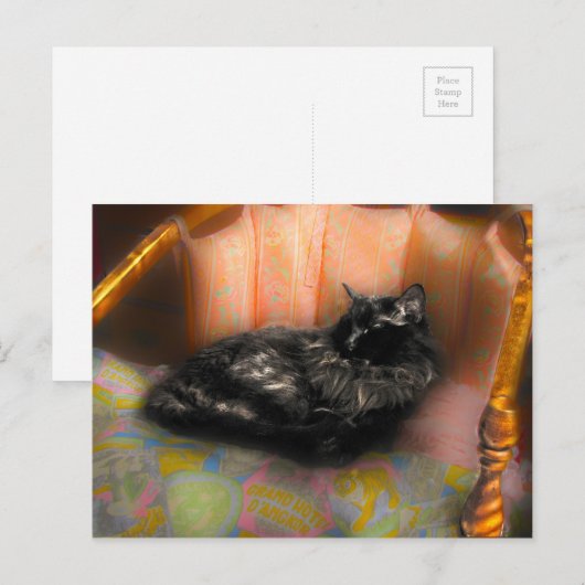 Black Cat Dreaming Postkarte (Vorne/Hinten)