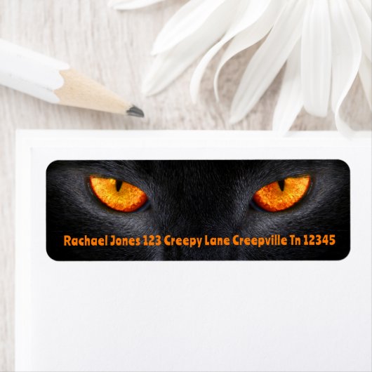 Black Cat Eyes (Insitu)