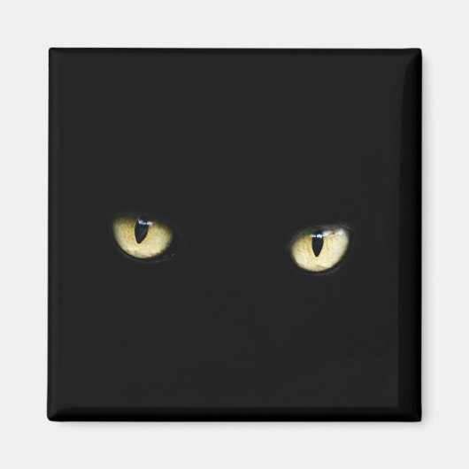 Black Cat Eyes | Katzenaugen-Makro Magnet (Vorne)