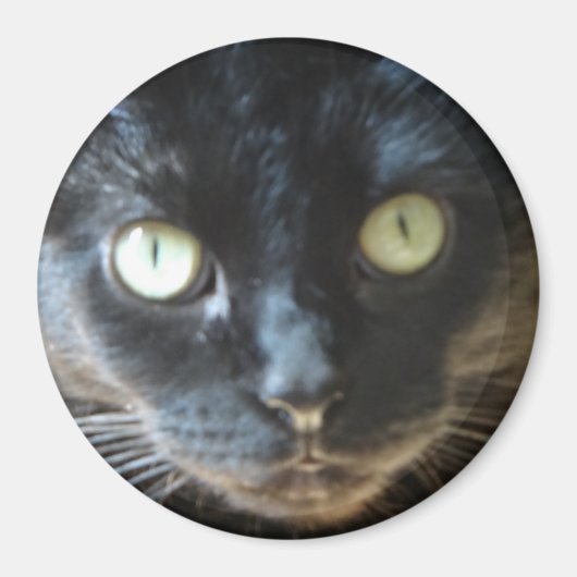 Black Cat Face Magnet (Vorne)