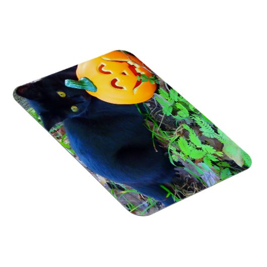 Black Cat Fall Foto Magnet (Rechte Seite)