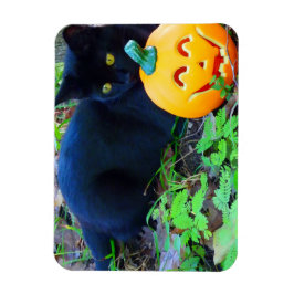 Black Cat Fall Foto Magnet