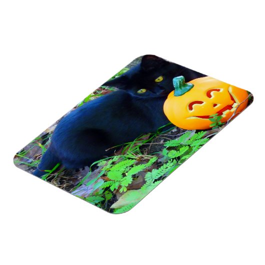 Black Cat Fall Foto Magnet (Linke Seite)