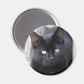 Black Cat Familiar Magnet (Vorderseite/Rückseite)