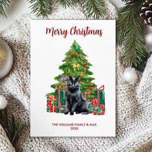 Black Cat Family Weihnachten