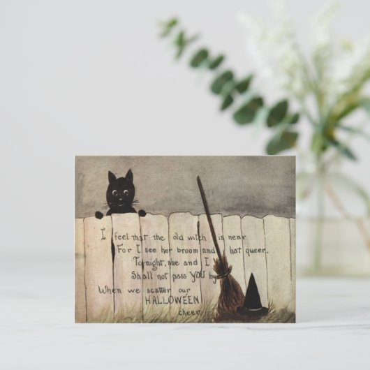 Black Cat Fence Witch's Broom Hat Postkarte (Stehend Vorderseite)