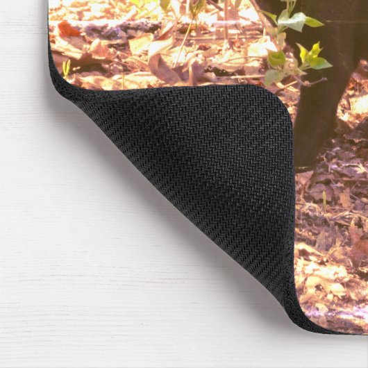 Black Cat Foto Mousepad (Ecke)