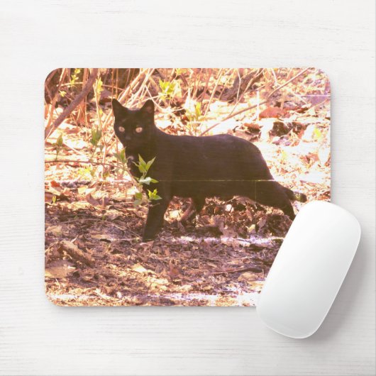 Black Cat Foto Mousepad (Mit Mouse)
