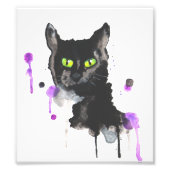 Black Cat Foto Print (Vorne)
