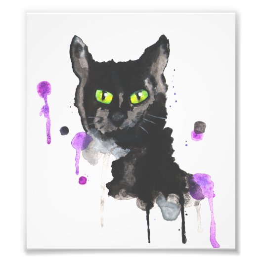 Black Cat Foto Print (Vorne)