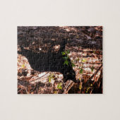 Black Cat Foto Puzzle (Horizontal)