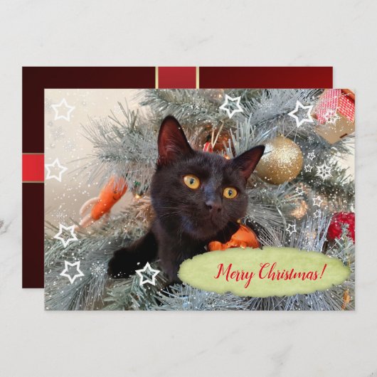Black Cat Frohe Weihnachten Dankeskarte (Vorne/Hinten)