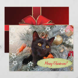 Black Cat Frohe Weihnachten Dankeskarte
