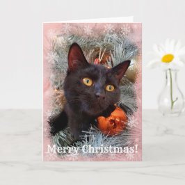 Black Cat Frohe Weihnachten Karte