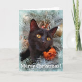 Black Cat Frohe Weihnachten Karte (Vorderseite)