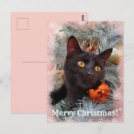 Black Cat Frohe Weihnachten Postkarte
