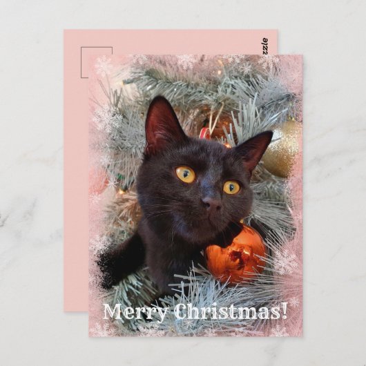Black Cat Frohe Weihnachten Postkarte (Vorne/Hinten)