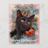 Black Cat Frohe Weihnachten Postkarte (Vorderseite)