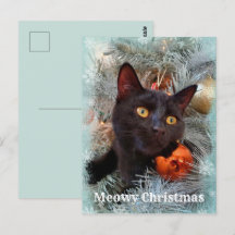Black Cat Frohe Weihnachten