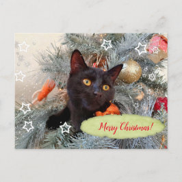 Black Cat Frohe Weihnachten Postkarte