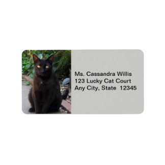 Black Cat geduldig Gewartet Adressetiketten
