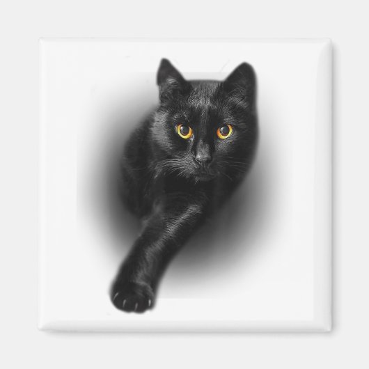 Black Cat Gelbe Augen Katzen T-Shirt gibt Mütter T Magnet (Vorne)