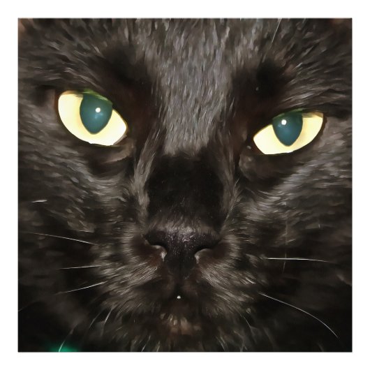 Black Cat Gorgeous Artistic Pet Portrait Fotodruck (Vorne)